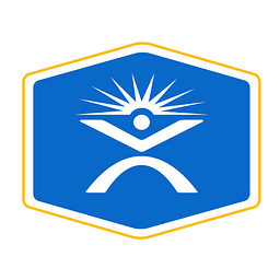 Pt Solutions Holdings, LLC logo